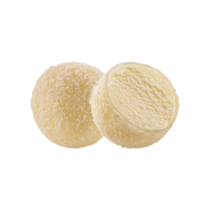 Coconut Mochi