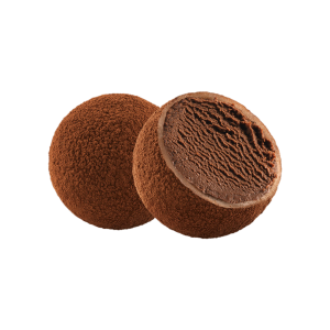 Chocolate Mochi